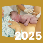 Przycisk linkujący do rankingu 2025