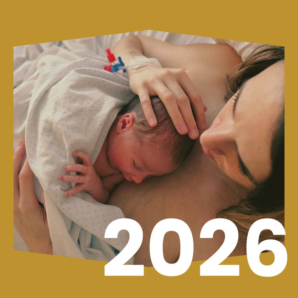 Przycisk linkujący do rankingu 2026